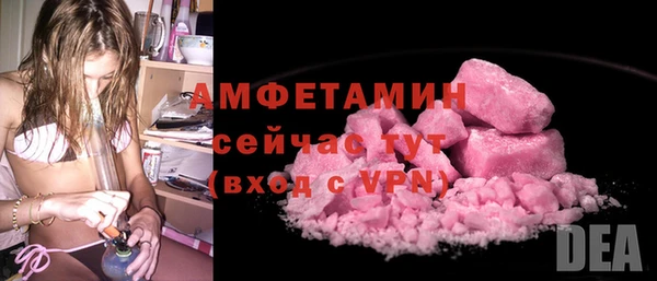 PSILOCYBIN Бородино