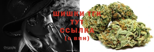 дживик Верхний Тагил
