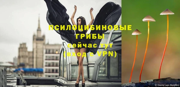 Альфа ПВП Бугульма