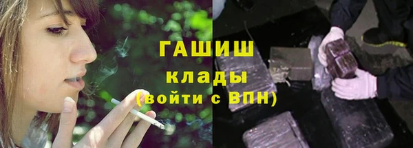 PSILOCYBIN Бородино