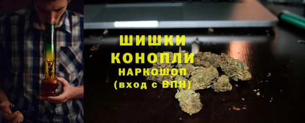 Альфа ПВП Бугульма