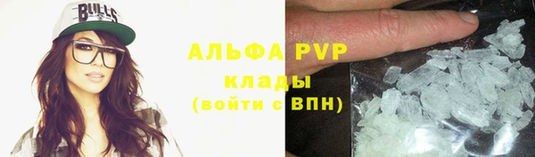PSILOCYBIN Бородино