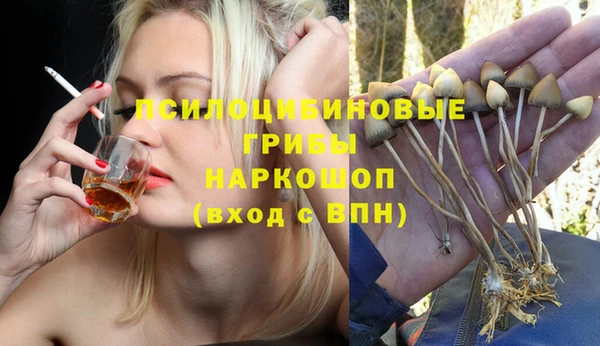 Альфа ПВП Бугульма
