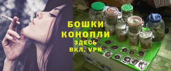 PSILOCYBIN Бородино