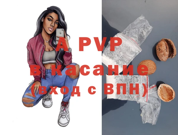 PSILOCYBIN Бородино