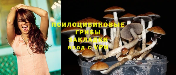 PSILOCYBIN Бородино