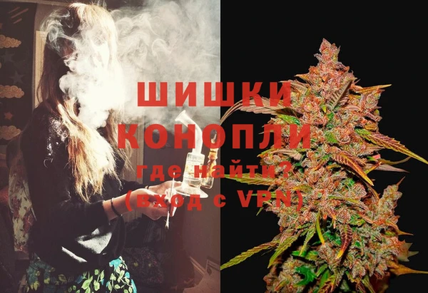 PSILOCYBIN Бородино