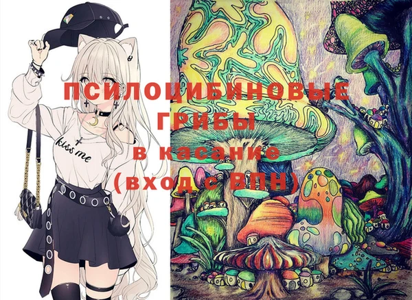 PSILOCYBIN Бородино