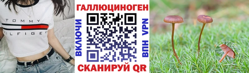 Псилоцибиновые грибы MAGIC MUSHROOMS  где можно купить наркотик  Валуйки 